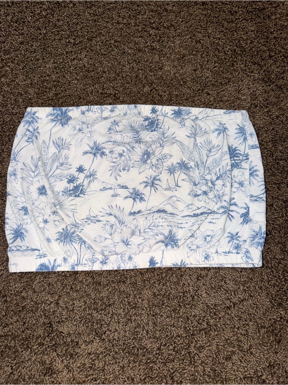 American Eagle Tropical Tube